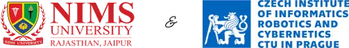 NIMS Logo