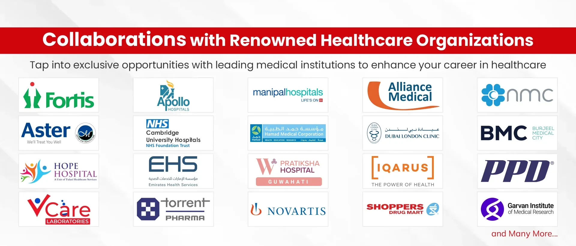 physiotherapy fifth banner