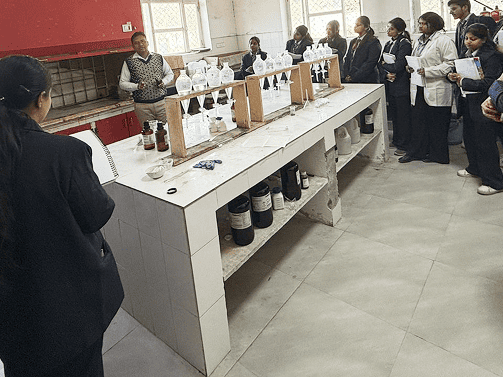 Surgical Observations